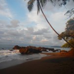 My Yoga Beach