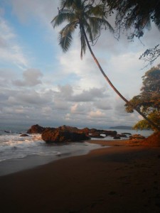 My Yoga Beach