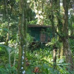My little casita