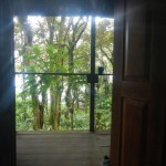 The view out my door